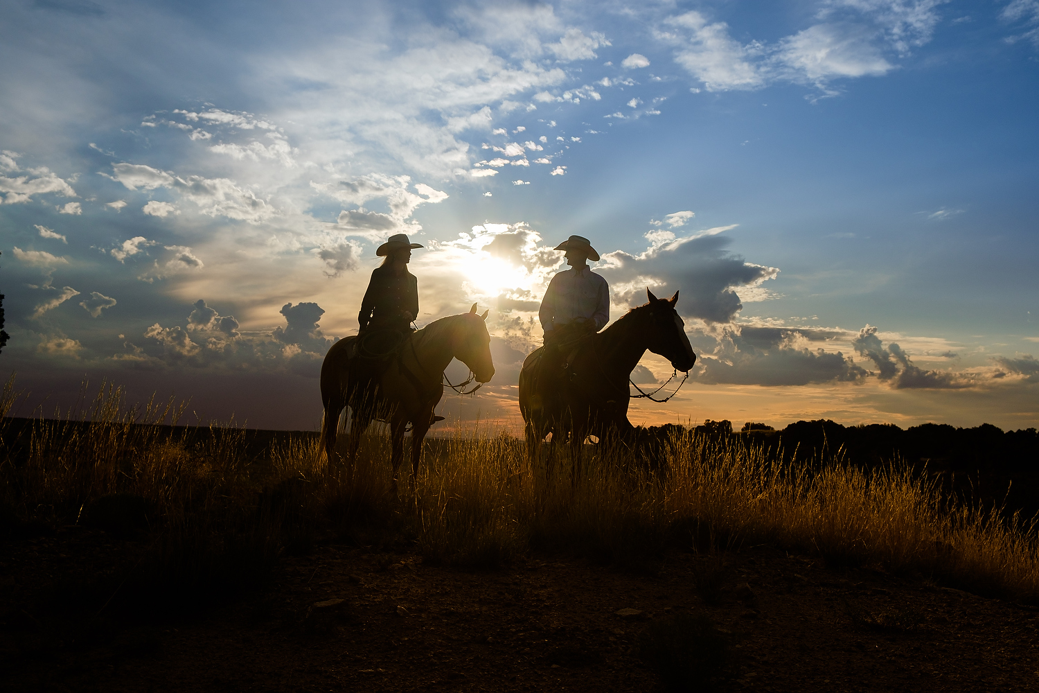 Horses Sunset