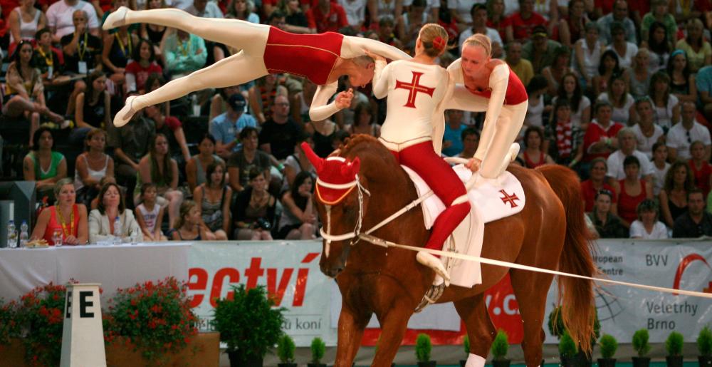 A group in a vaulting contest