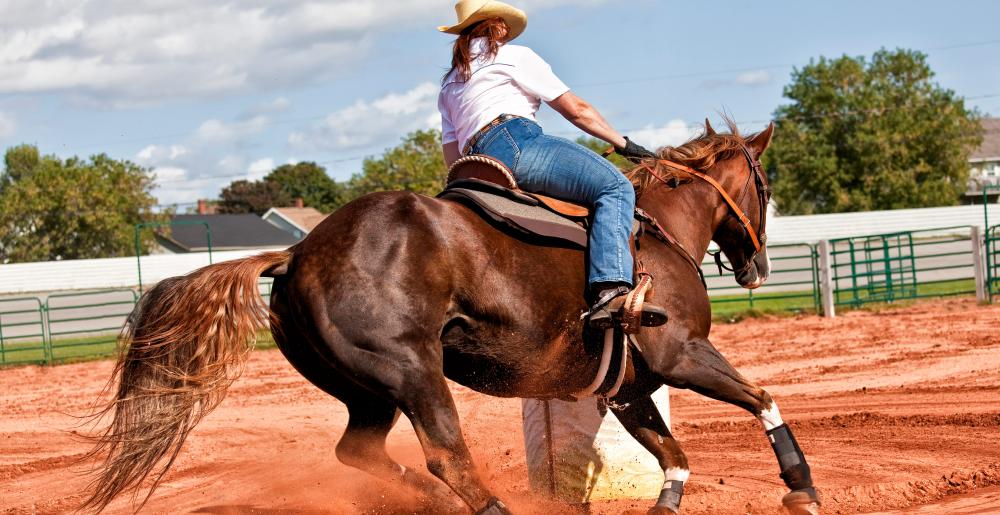 Horse and rider in a barrel race