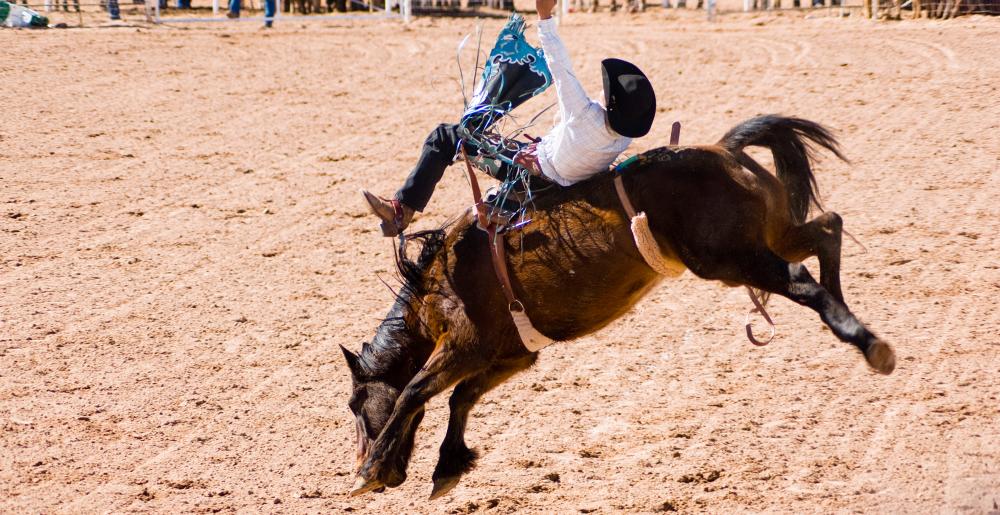 A cowboy in a bareback bronc riding contest