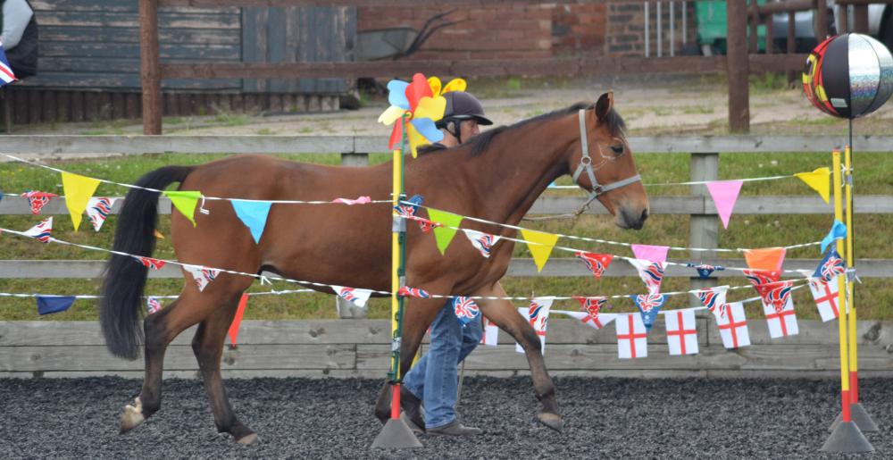 Concurso de agilidad equina