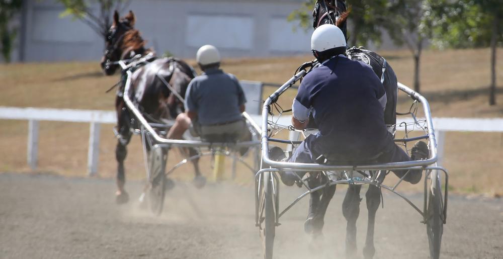 Contestants in a Harness or Trotting race