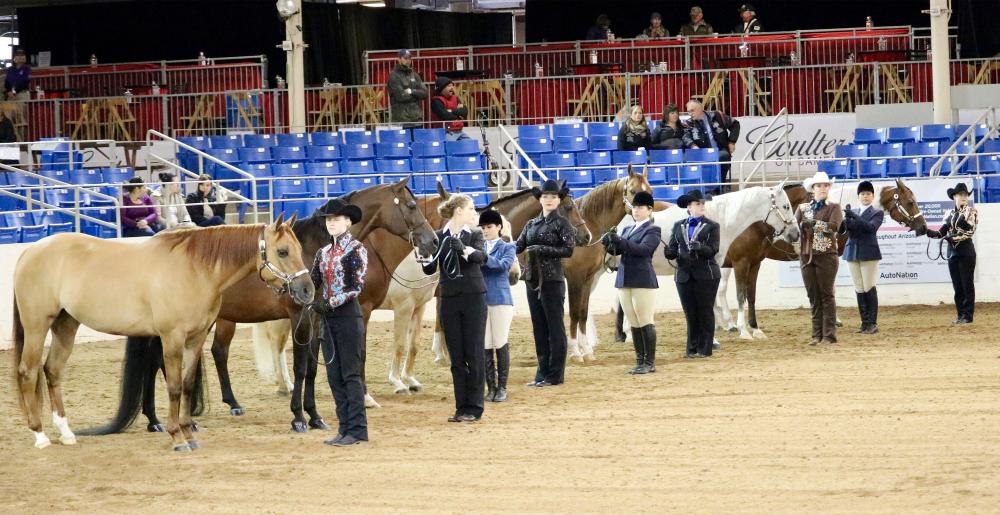 A Horse showmanship contest