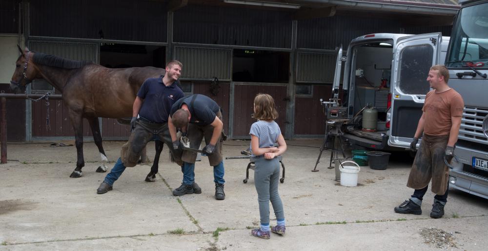 German farrier Errol Wernike and his team at work