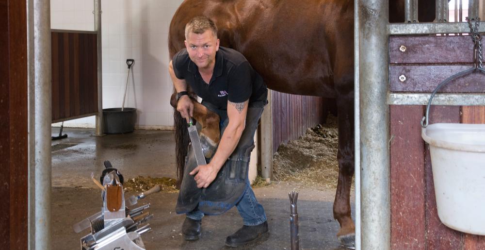 The Norwegian farrier Aksel Vibe shoeing a horse