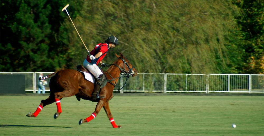 Un jugador de polo