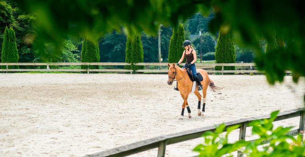 Una mujer montando un caballo en un estadio arenoso