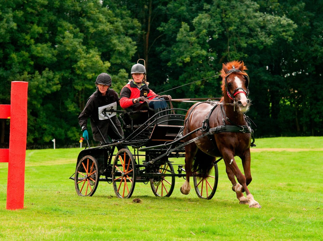 A combined driving contest