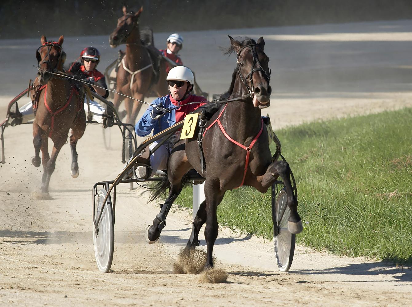 Concursantes en una carrera de arnés o trote