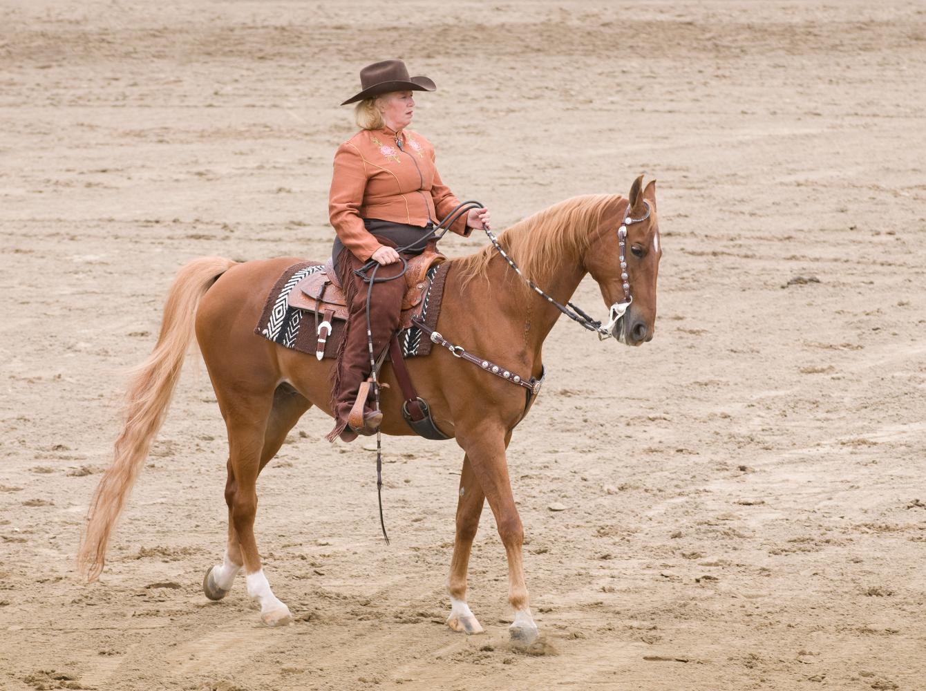 Caballo y jinete en un concurso western de monta de recreación