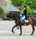 Classical dressage