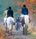 A group of field hunters