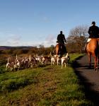 A group of fox hunters with their hounds