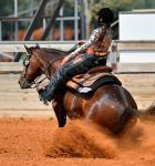 Un concurso de reining