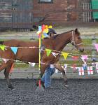 Equine Agility contest