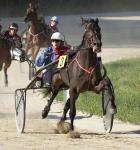 Contestants in a Harness or Trotting race