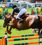 A show jumper in a contest