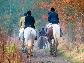 A group of field hunters